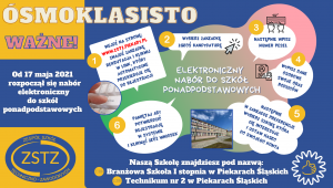 NABÓR ELEKTRONICZNY DO ZSTZ